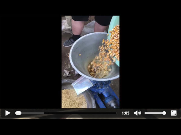 ��������w���Cҕ�l